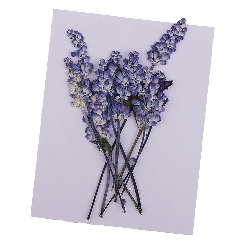 Набор из 10 цветов для скрапбукинга шт | Дом и сад