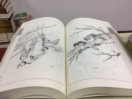 Китайское рисование линий художественная книга для начинающих китайская птица