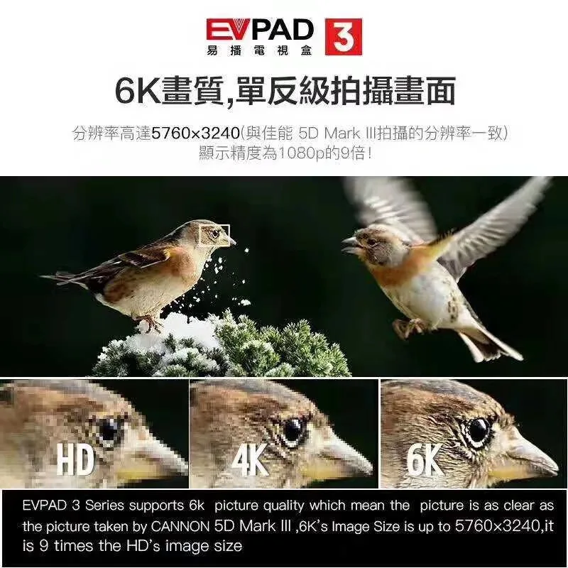 EVPAD3 ТВ приставка smart box evpad 3 Android ТВ приставка Bluetooth 4,0 2G ram 16G rom 6K Китайский Гонконг Малайзия Тайвань США