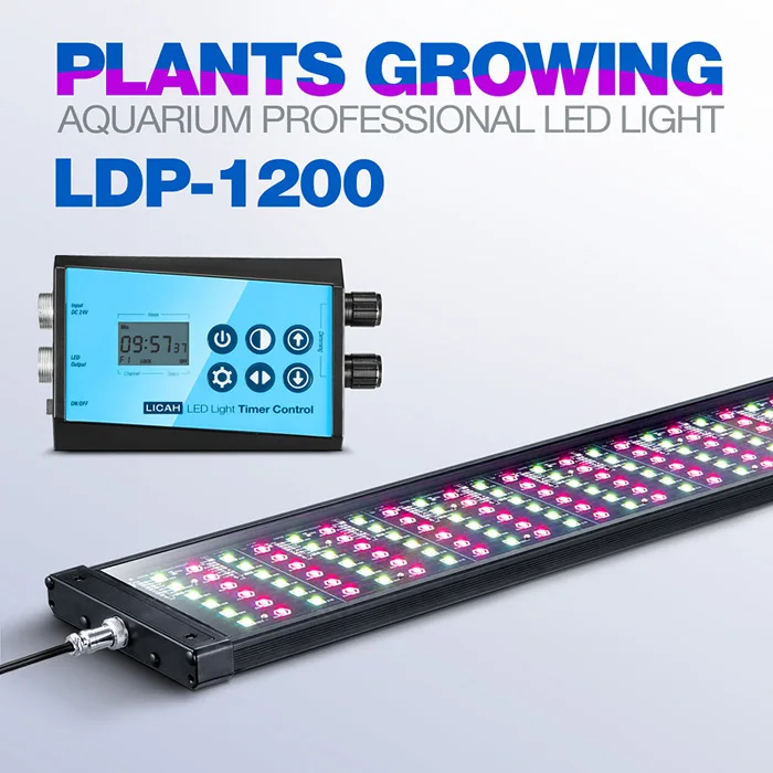 LICAH свежая вода аквариумное растение светодиодный светильник LDP-1200 - Цвет: Standard and Timer