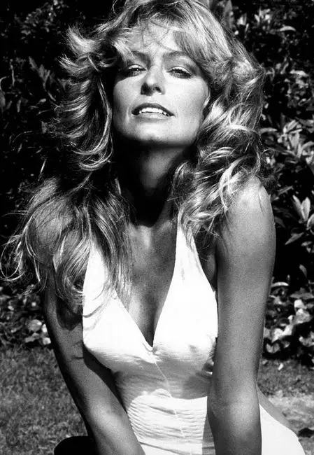 

Постер 16 Farrah Fawcett, американская звезда художника, модель 14x20 дюймов