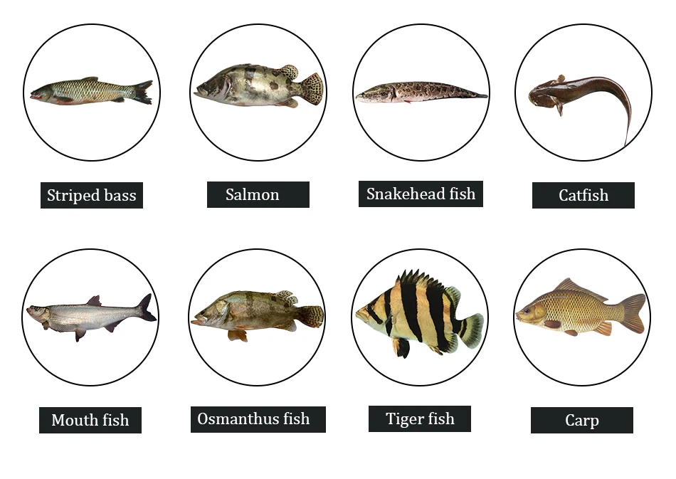 Thkfish 1 шт./3 шт. рыболовные Джиги смешанных цветов, резиновая приманка с юбкой для плавания, металлические Свинцовые джиг-головки 16 г, юбка Мормышка, приманки для рыбалки