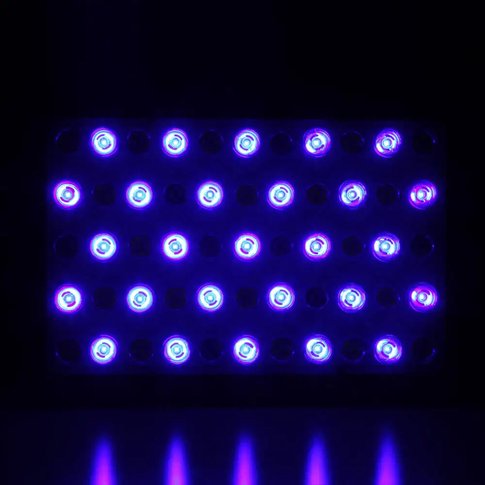 Аквариумная LED-лампа 165W Full Spectrum с регулируемой яркостью и кристаллической линзой для роста рыб и коралловых рифов.