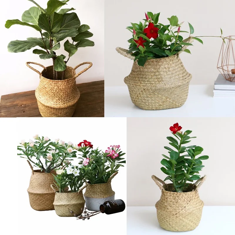 1 шт. плетеная корзина для хранения растений | Дом и сад