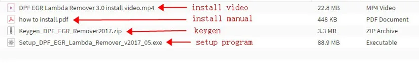 DPF EGR Lambda Remover 3,0,5 программное обеспечение с keygen с установкой видео