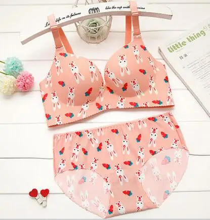 Соблазнительный женский бюстгальтер с чашками пуш ап|bra underwear set|underwear setbra print |