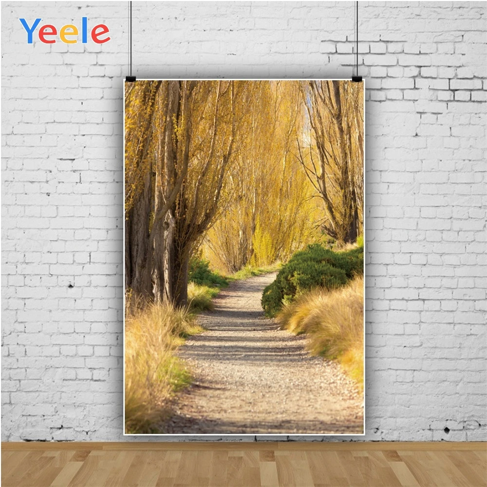 Yeele осенние лесные дороги деревья декорации бульвара фотографии фоны