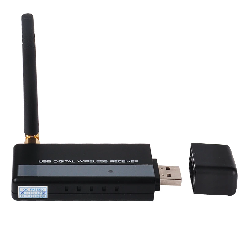 2.4 ГГц сети ик-цифровой беспроводной ик видео открытый антивандальный камера