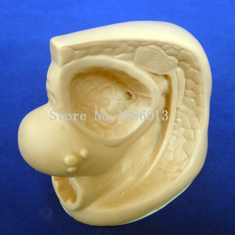 Женская уретрная кожа улучшенная модель внутренних и внешних генитальных