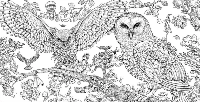 Раскраска для взрослых, Animorphia: Экстремальная раскраска и поиск вызов, взрослые раскраски искусство креативная книга