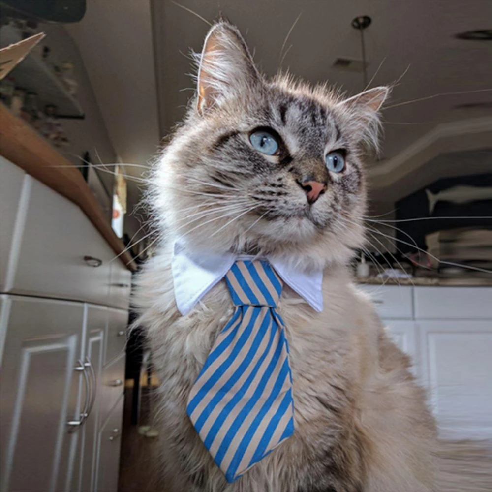 Новый галстук бабочка для домашних питомцев собачий летняя бижутерия кошек