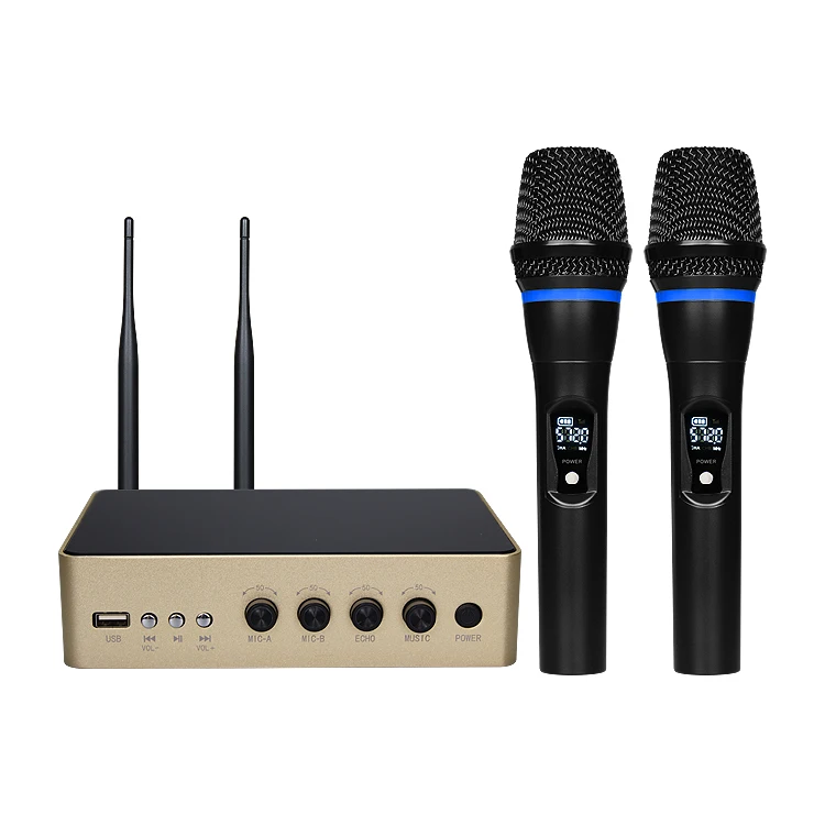 Golden X6 портативный UHF Мини Bluetooth беспроводной микрофон усилитель с эхо бас и ВЧ многофункциональная система USB плеер - Цвет: Golden
