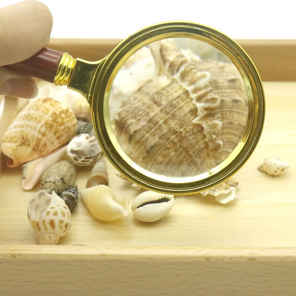 Montessori Sensorial Material Seashell Activities Развивающие деревянные игрушки для детей 3 лет Juguetes