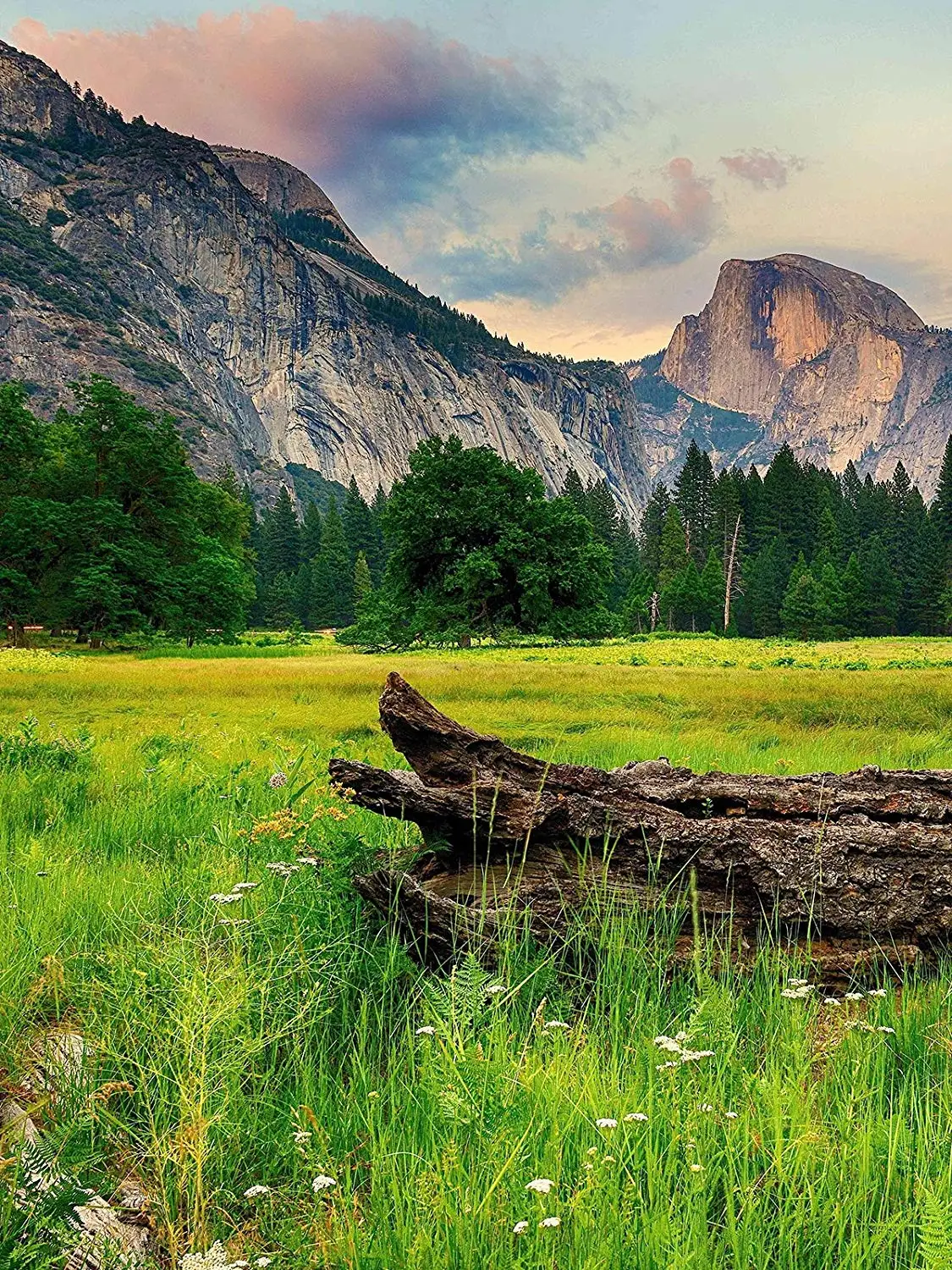 5x7ft горы деревья пейзаж фотография Фон зеленая трава фон тема &quotПрирода&quot