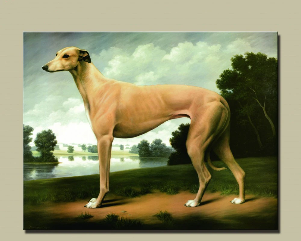 Картина Greyhound офисное украшение картина маслом современная на холсте настенное