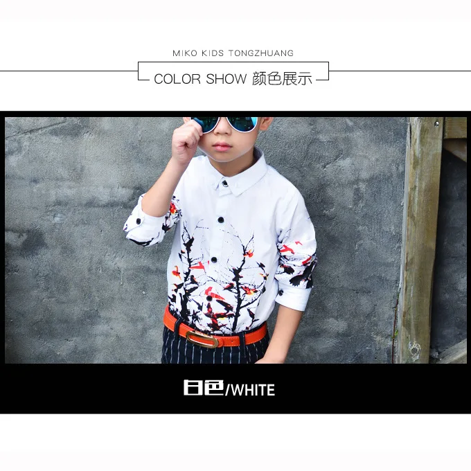

2019 Boys Blouse Boy's Shirts Spring Autumn Soft Shirts Kids Cotton Party Long Sleeves Shirt for Boys Boy Shirts for Children
