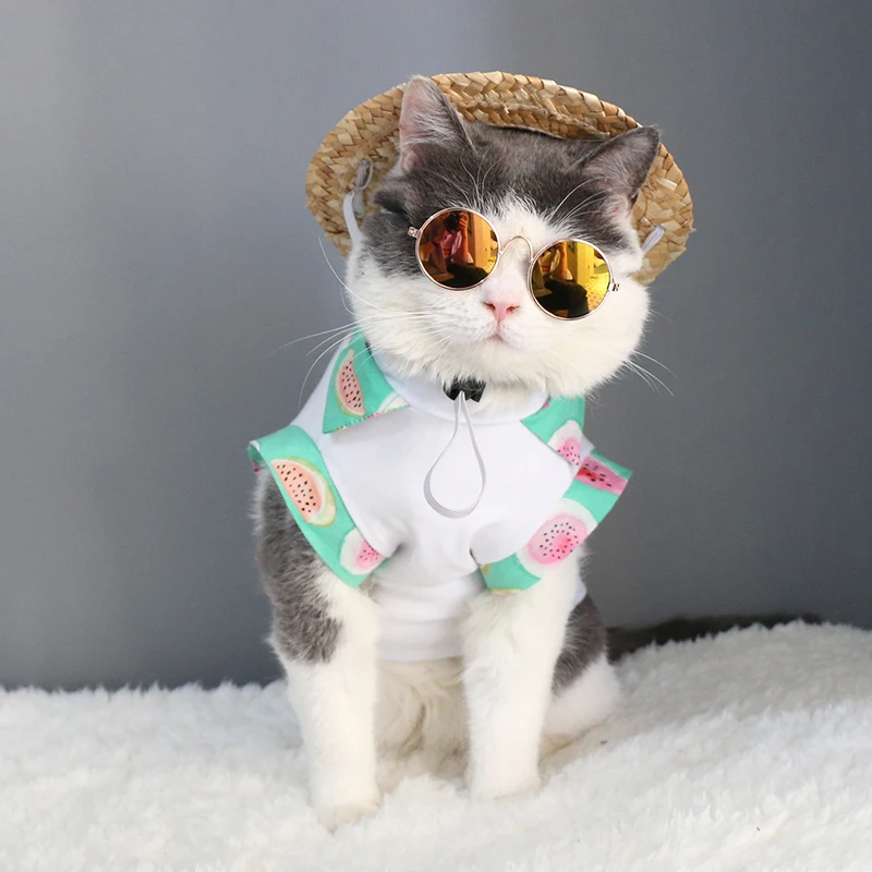 Собачьи очки для глаз домашних животных маленькие собачьи кошачий реквизит