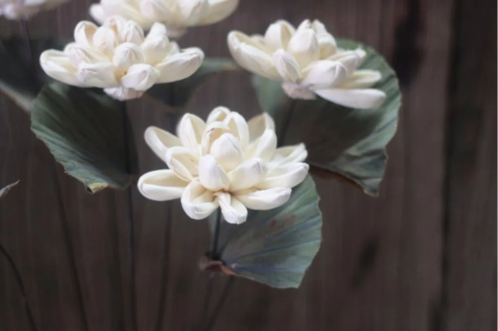 5 шт. белые сушеные цветы лилии для свадебной вечеринки украшения дома отеля