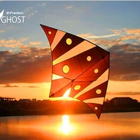free shipping high quality deep sea ghost kite flying indoor with handle line outdoor toys albatross kite factory eagle