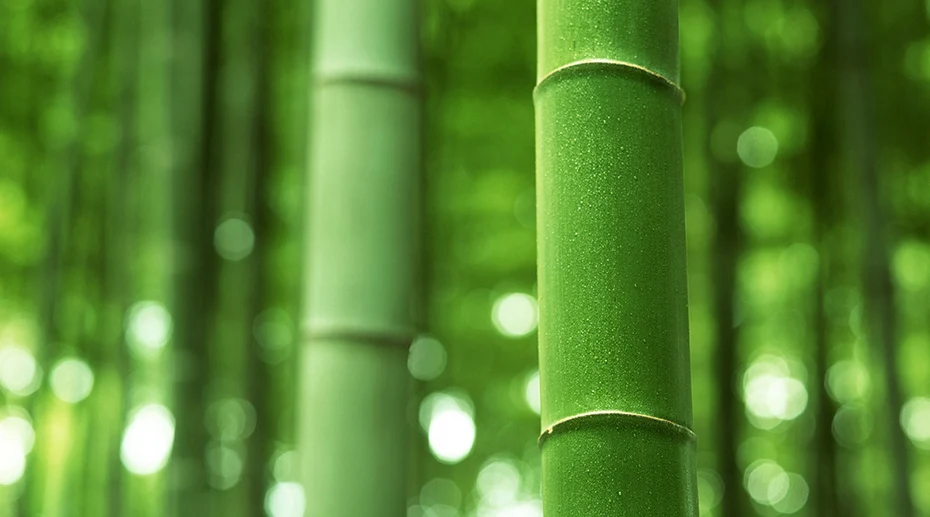 PINNY Bamboo благовония горелка 2 и 4 часа катушки благовоний горелки украшение комнаты медитация бамбуковая кадильница натуральные материалы