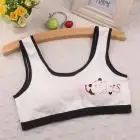 Новое милое нижнее белье с принтом для девочек, бюстгальтер, жилет, детское нижнее белье, спортивные трусы, детский бюстгальтер, 15 - Цвет: a