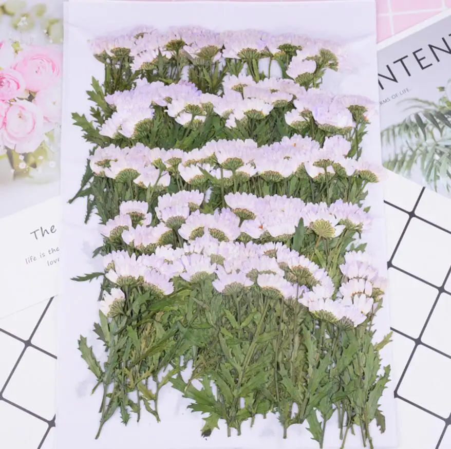

120pcs Pressed Dried Chrysanthemum with Leaves Filler For Epoxy Resin Jewelry Making Postcard Frame Phone Case Craft DIY