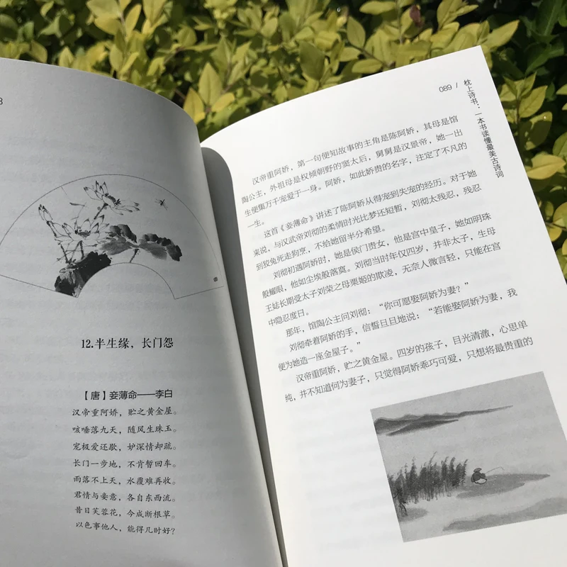 Новейшая книжка-подушка для поэмы оценки древней поэзии чтения рассказать