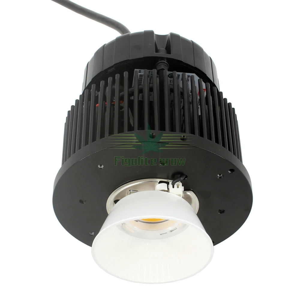 Figolite grow Amazon топ продаж полный спектр 100 Вт COB CXB3590 светодиодный светильник для выращивания лампы заменить 300 Вт CFL светильник