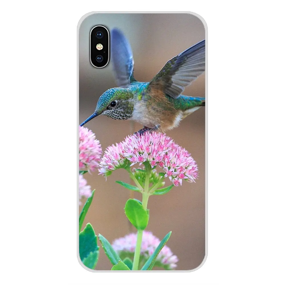 Аксессуары чехлы-накладки для Apple iPhone X XR XS MAX 4 4S 5 5S 5C SE 6 6S 7 8 Plus ipod touch с животными