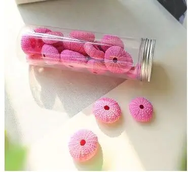 1 бутылка натуральный маленький розовый морской еж набор из натуральной раковины