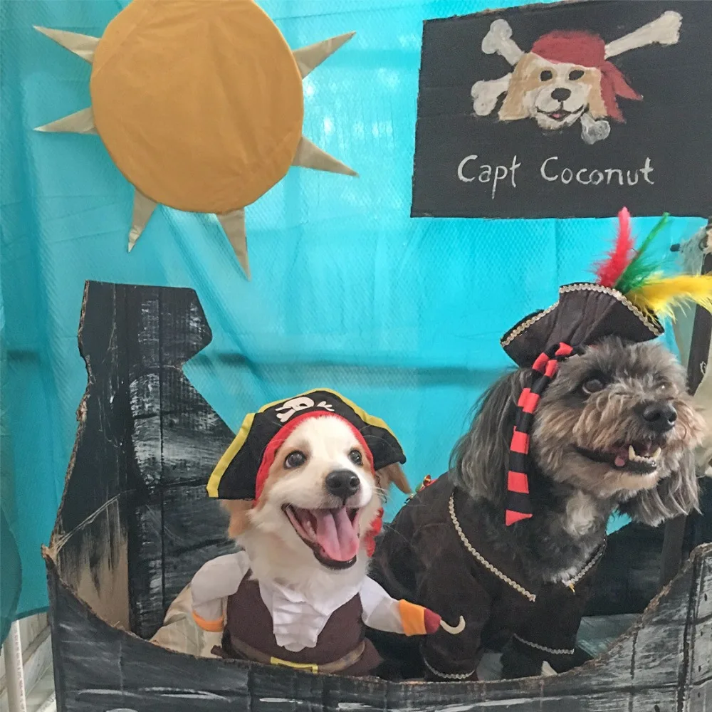 5D DIY мозаики алмаз живопись Pirate Dog горный хрусталь вышивка крестом ручной работы