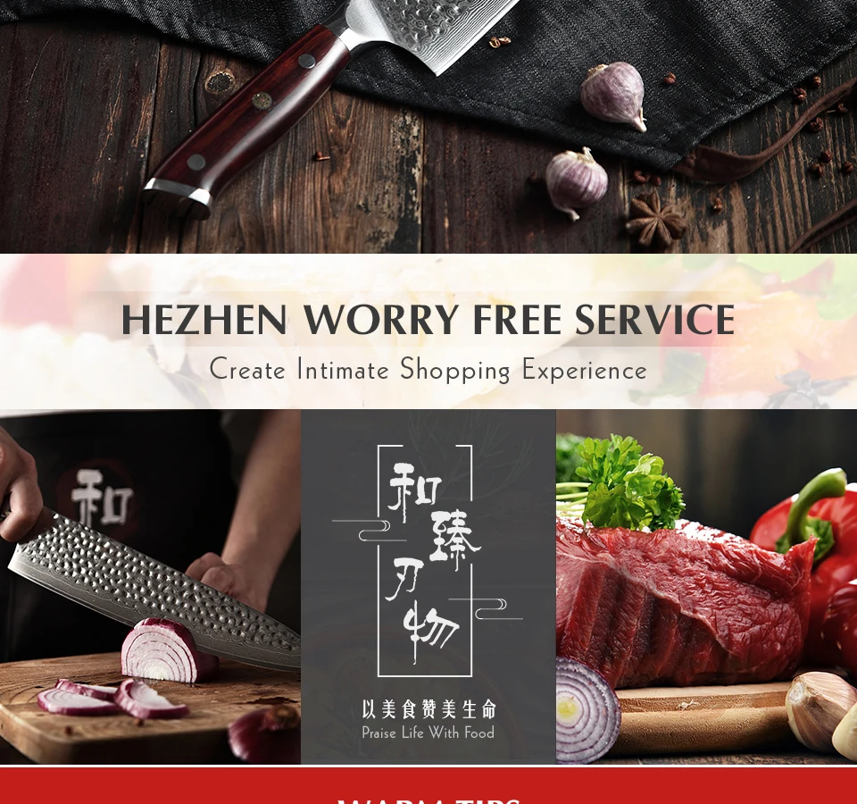 HEZHEN 10 ''дюймовый нож мясника кухонные ножи японский Дамасская сталь VG10 нож шеф-повара сантоку с ручкой Мадагаскара далбергии