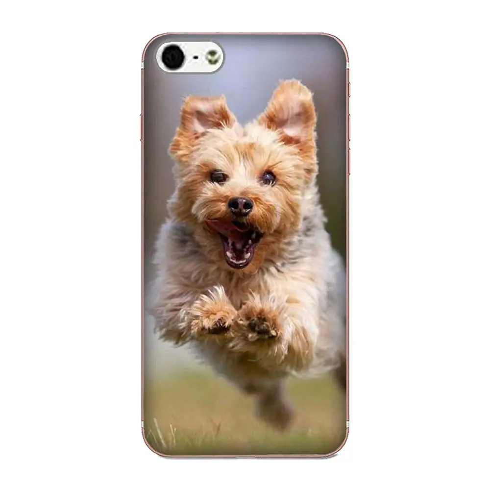 Чехлы из ТПУ для щенков йоркширской собаки Sony Xperia Z Z1 Z2 Z3 Z4 Z5 compact Mini M2 M4 M5 T3 E3 E5 XA XA1 XZ
