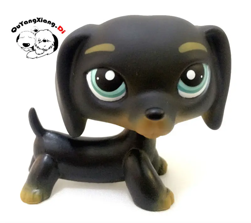 CWG052 Pet Shop черная такса собака Teckel щенок голубые глаза экшн-фигурка милый | Игрушки