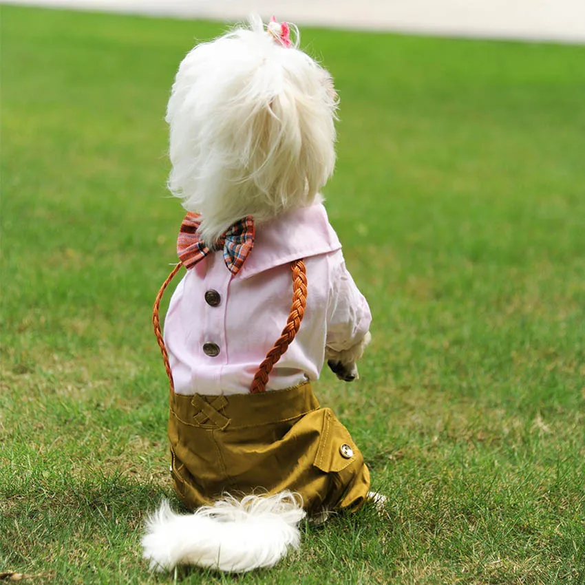 Spring And Summer Pet Dog Clothes 2 Colors England Style Braid Jumpsuit 4 Sizes Small Dogs Rompers Apparel END135 | Дом и сад