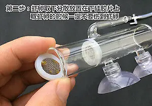 Инкубатор для креветок типа амортизатор инкубатор | Инструменты