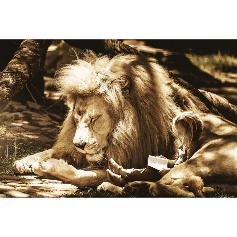 Алмазная картина льва Broderie Диамант мультфильм Вышивка крестом европейский и