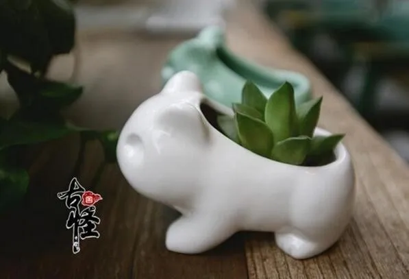 Мини Pokemon керамический цветочный горшок Bulbasaur плантатор белый зеленый суккулентные растения цветочное растение бонсай горшок отверстие милый