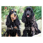 Квадратная алмазная живопись своими руками 5D, наборы для вышивки крестиком, британский Кокер-спаниель, Алмазная мозаика, модель с рисунком собаки