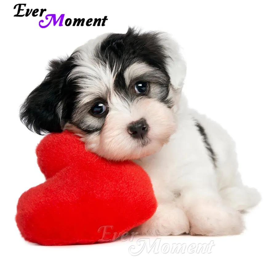 

Алмазная живопись с собакой и животными Ever Instant 5D DIY Стразы, вышивка крестиком, алмазная вышивка, украшения для дома, мозаика ASF1311