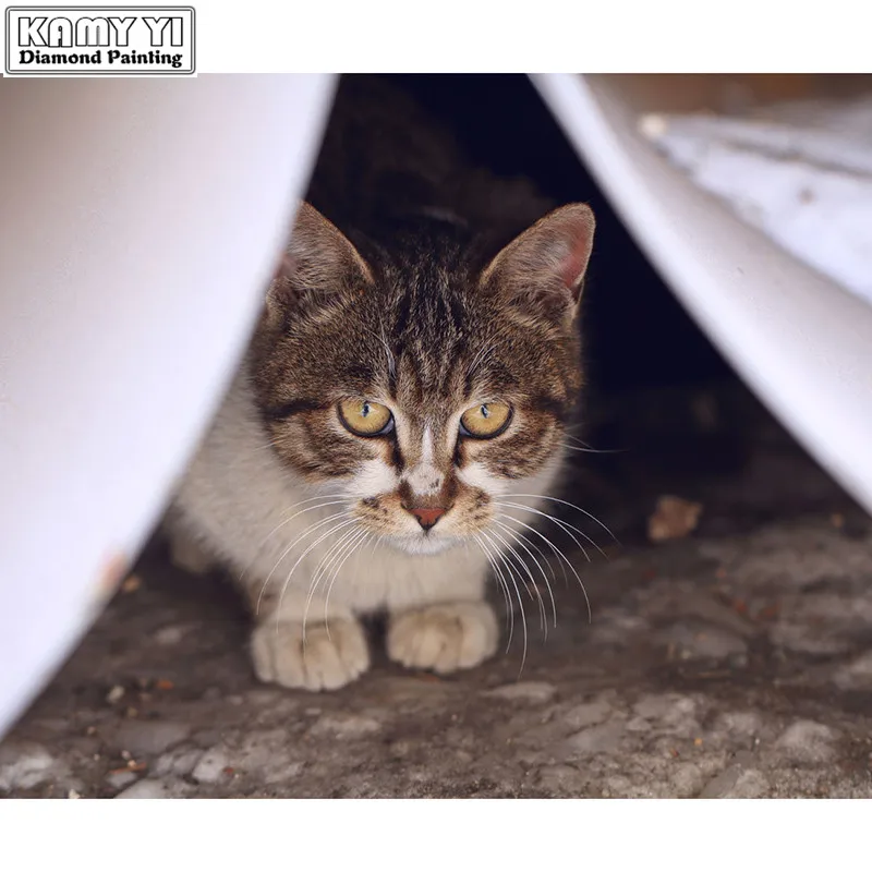 Камни в форме ромба дрель 5D DIY алмазная живопись робок с вышивкой виде кота