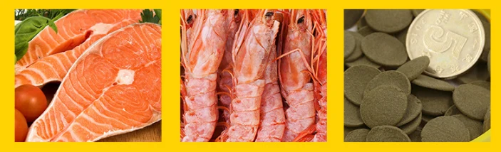 JFENGLI Sera чипсы для сомов тропический Овощной комод Fect Pleco корм Спирулина