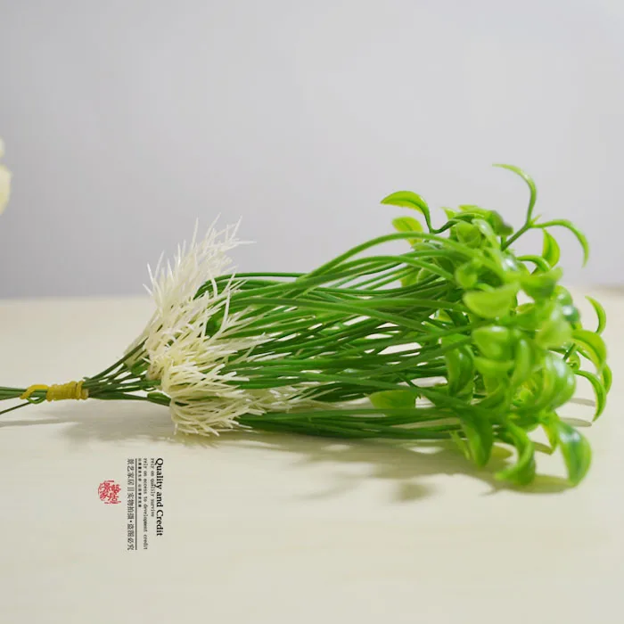 Моделирование ростков фасоли мунг/саженцев мунг/ростков цветов вставленных