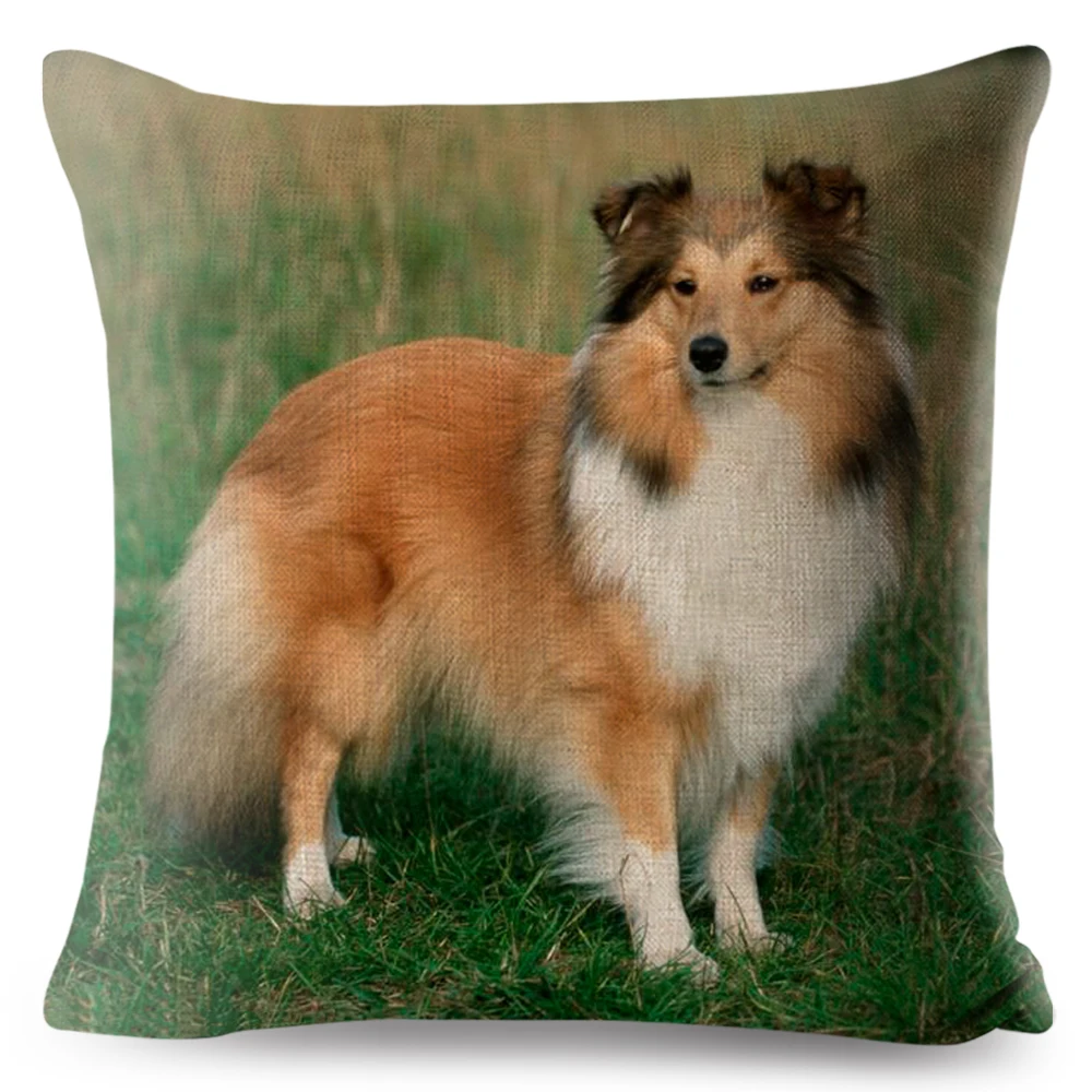 Sheltie Dog Loyal Shetland Sheepdog Print Throw Pillow Cover 45*45 Square Cushion Linen Pillows Case Home Decor Pillowcase |