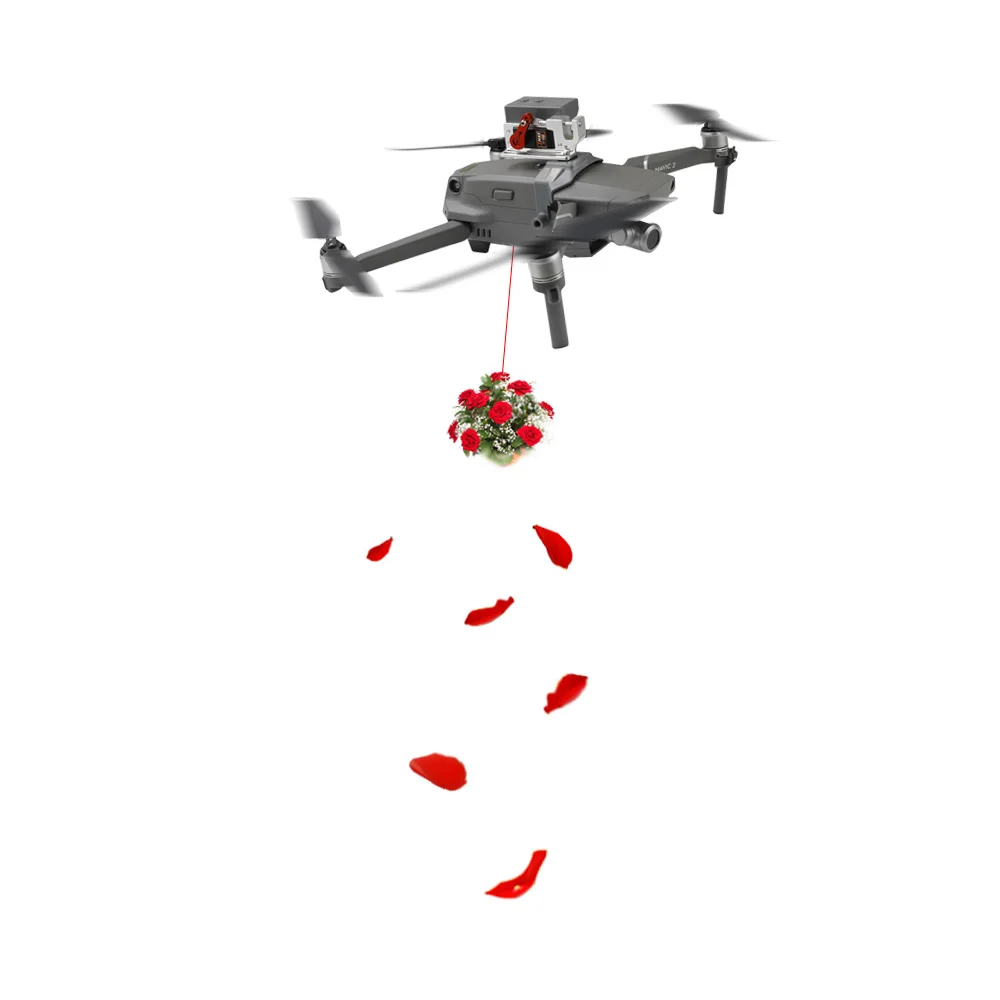 Shinkichon рыболовная приманка рекламное кольцо для рыбалки предложение DJI Mavic 2 Pro/Zoom