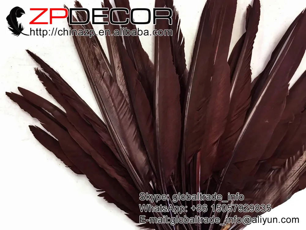 ZPDECOR 50 шт./лот 25 30 см (10 12 дюймов) ручной выбор коричневый окрашенный оптовый