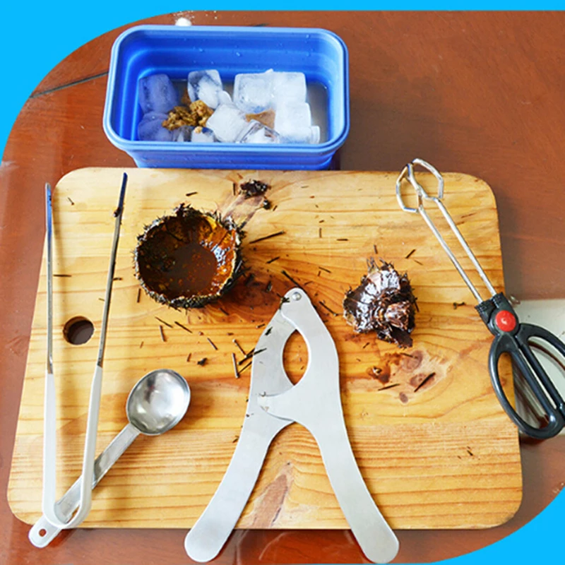 Нержавеющая сталь морской еж для бутылок Echinus щипцы морепродуктов Scissor каштан