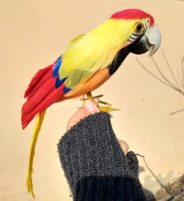 

yellow&red feathers parrot bird 30cm artificial parrot bird handicraft prop,home garden decoration gift p1917