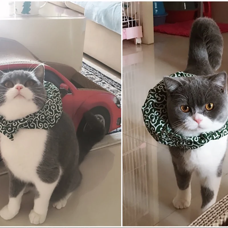 

Pet Products