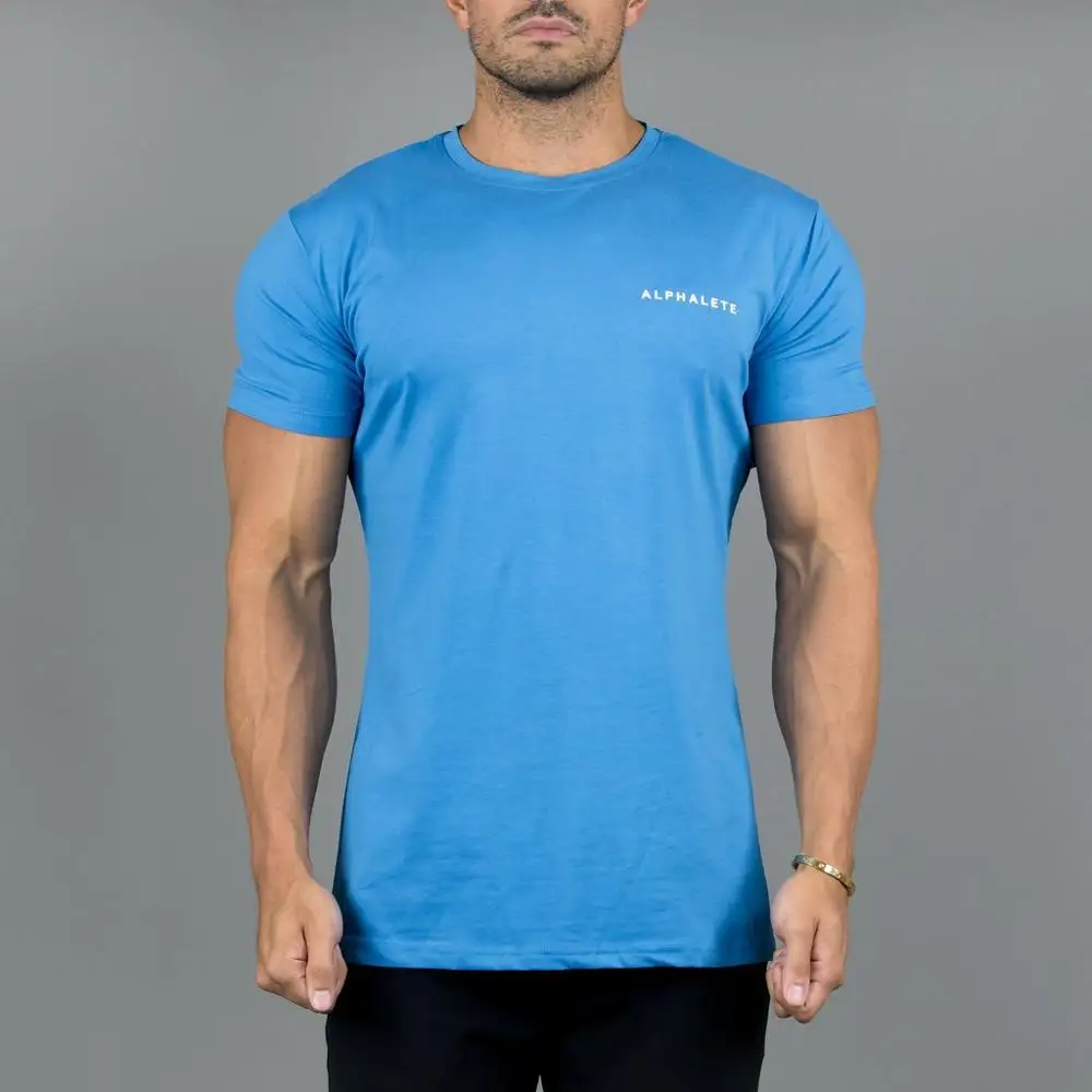 sky blue ALPHALETE новая брендовая мужская футболка для бодибилдинга, Спортивная повседневная футболка с коротким рукавом и круглым вырезом, хлопковая Футболка с буквенным принтом для фитнеса, мужские футболки - Цвет: sky blue